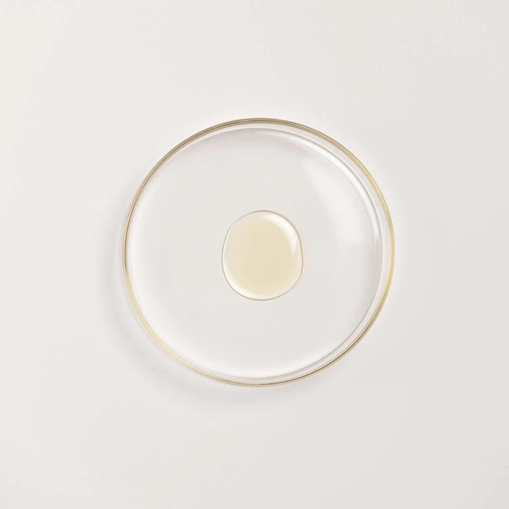 The Ayurveda Experience Black Gram Edit - Face and Body Trio with the Power of Black Gram