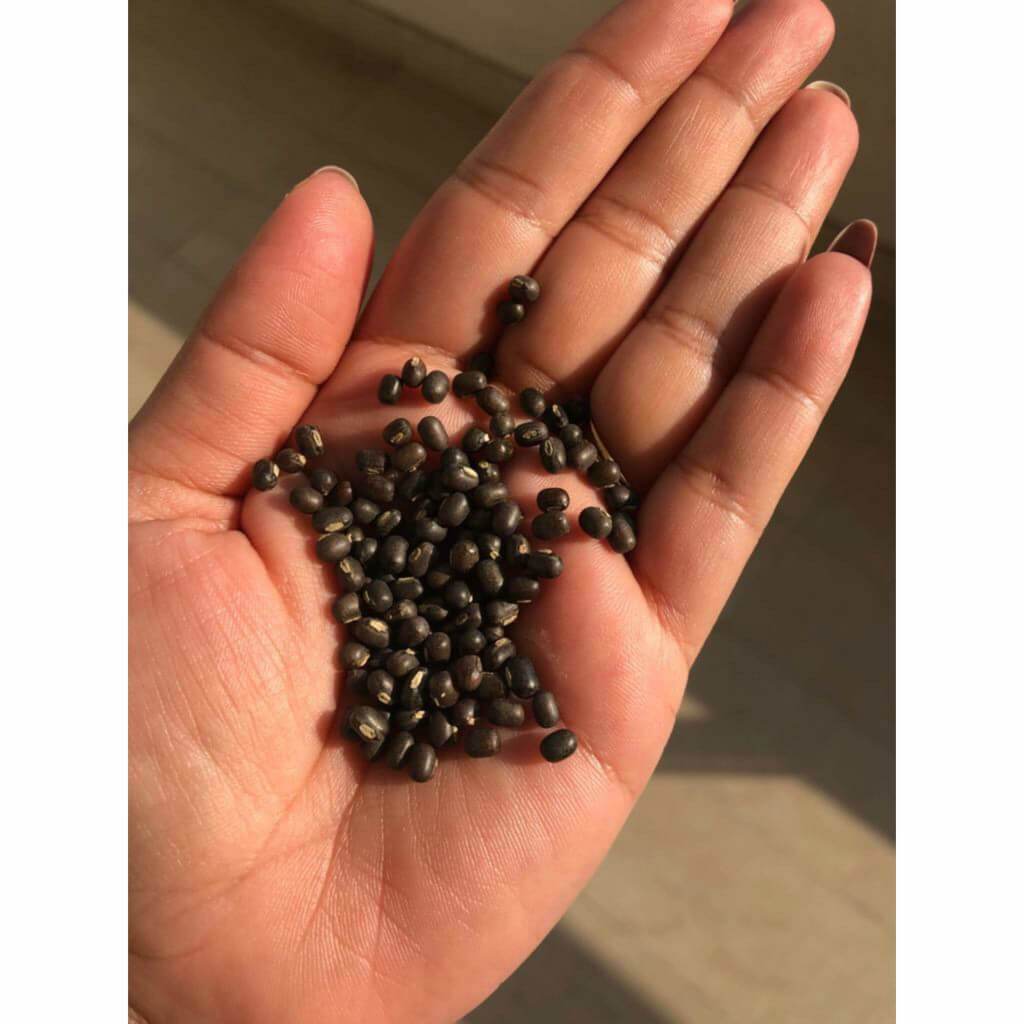 Balaayah Black Gram Body Booster Pack of 2 - š