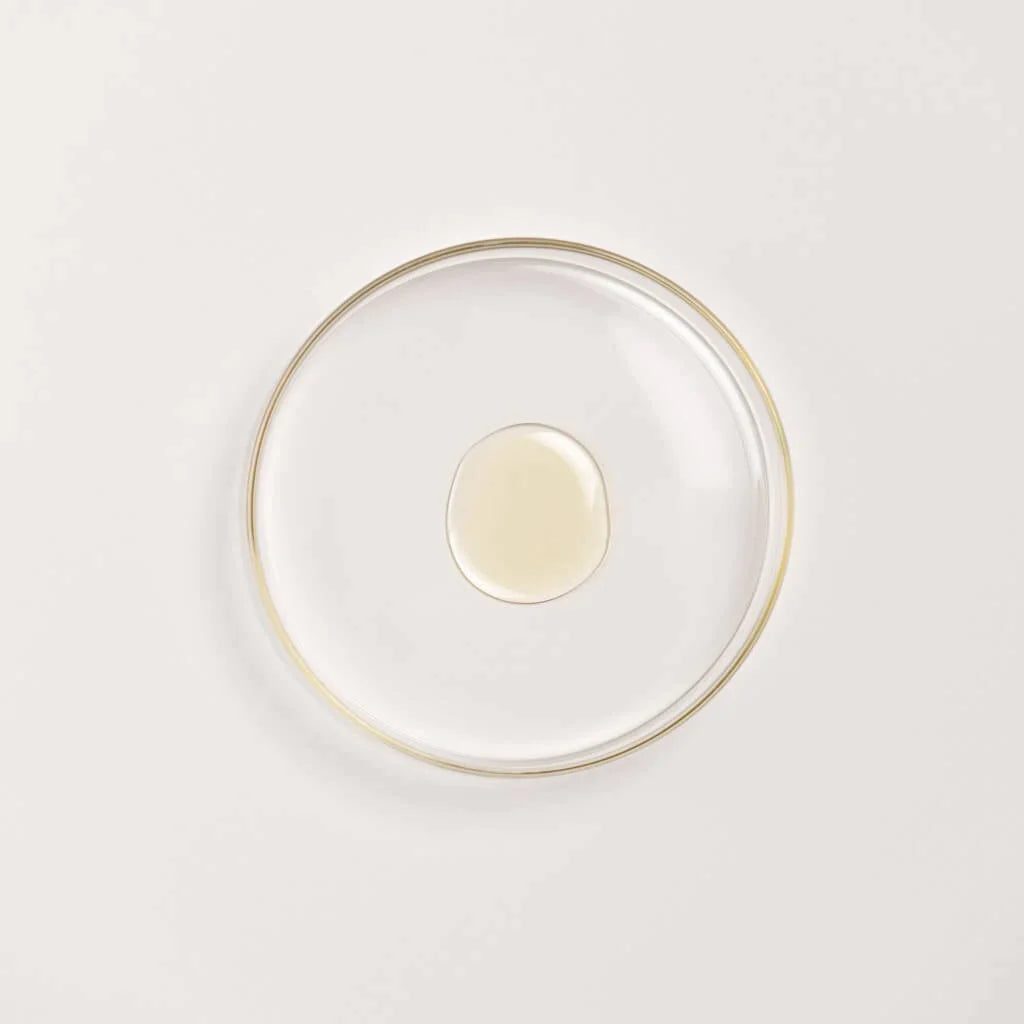 The Ayurveda Experience Black Gram Edit - Face and Body Trio with the Power of Black Gram