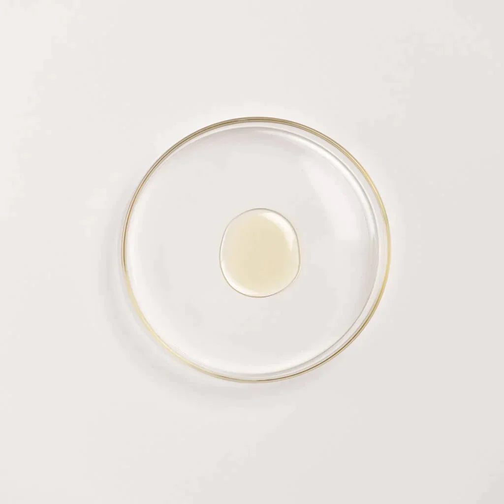 The Ayurveda Experience Black Gram Edit - Face and Body Trio with the Power of Black Gram