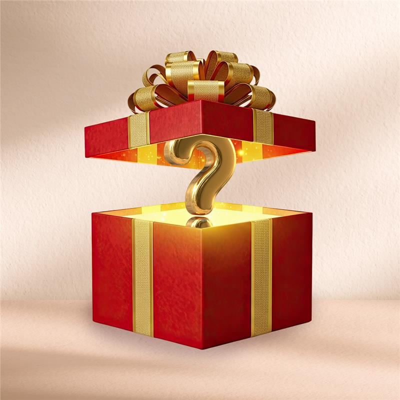 Christmas Exclusive Mystery Gift 🎁