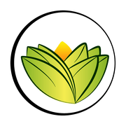 logo of The Ayurveda Experience