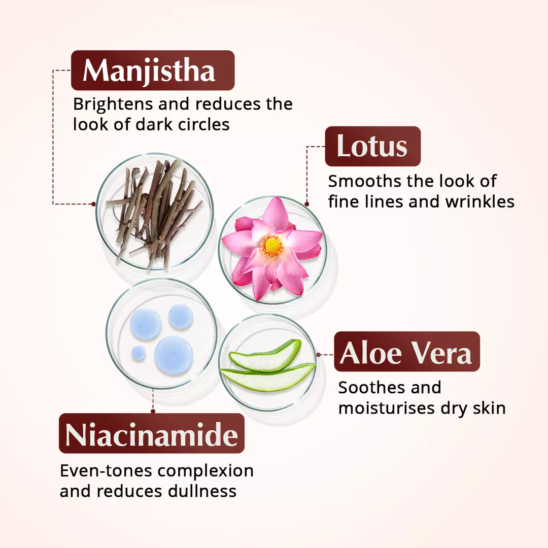 Rufolia PRO Periorbital Eyemulsion - Eye Contour Cream – Brighten, Firm and Moisturise Under-Eyes – New Formula with Manjistha, Aloe Vera, Lotus, and Niacinamide – Best Under-Eye Cream – With Clinically Tested Ingredients