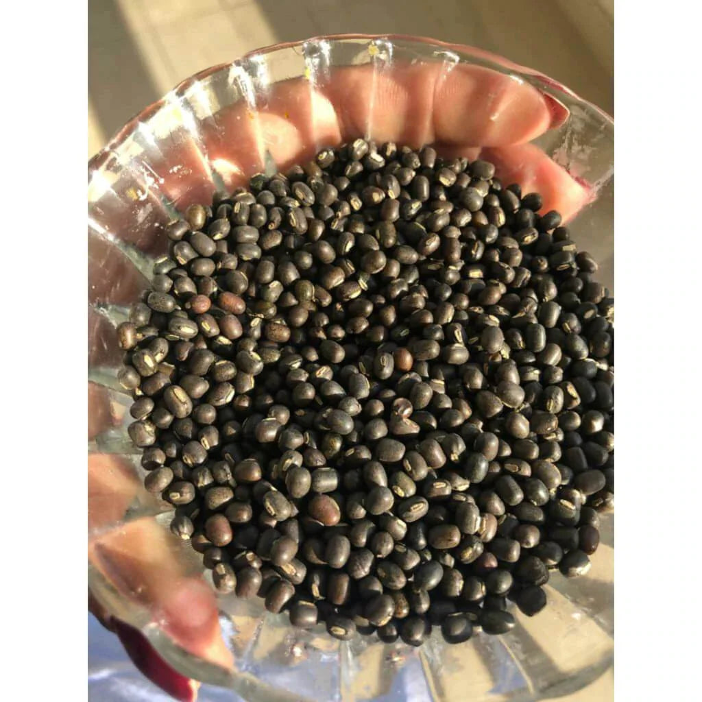 'Black Gold' Body Oil - Made with Black Gram, Velvet Bean and Himalayan Rock Salt - Best Body Moisturizer for Saggy, Droopy, Dry, Mature, Ageing Skin